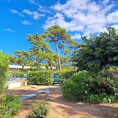 Mini Villa Jardin 50 M Plage Borgo  Eksteriør billede