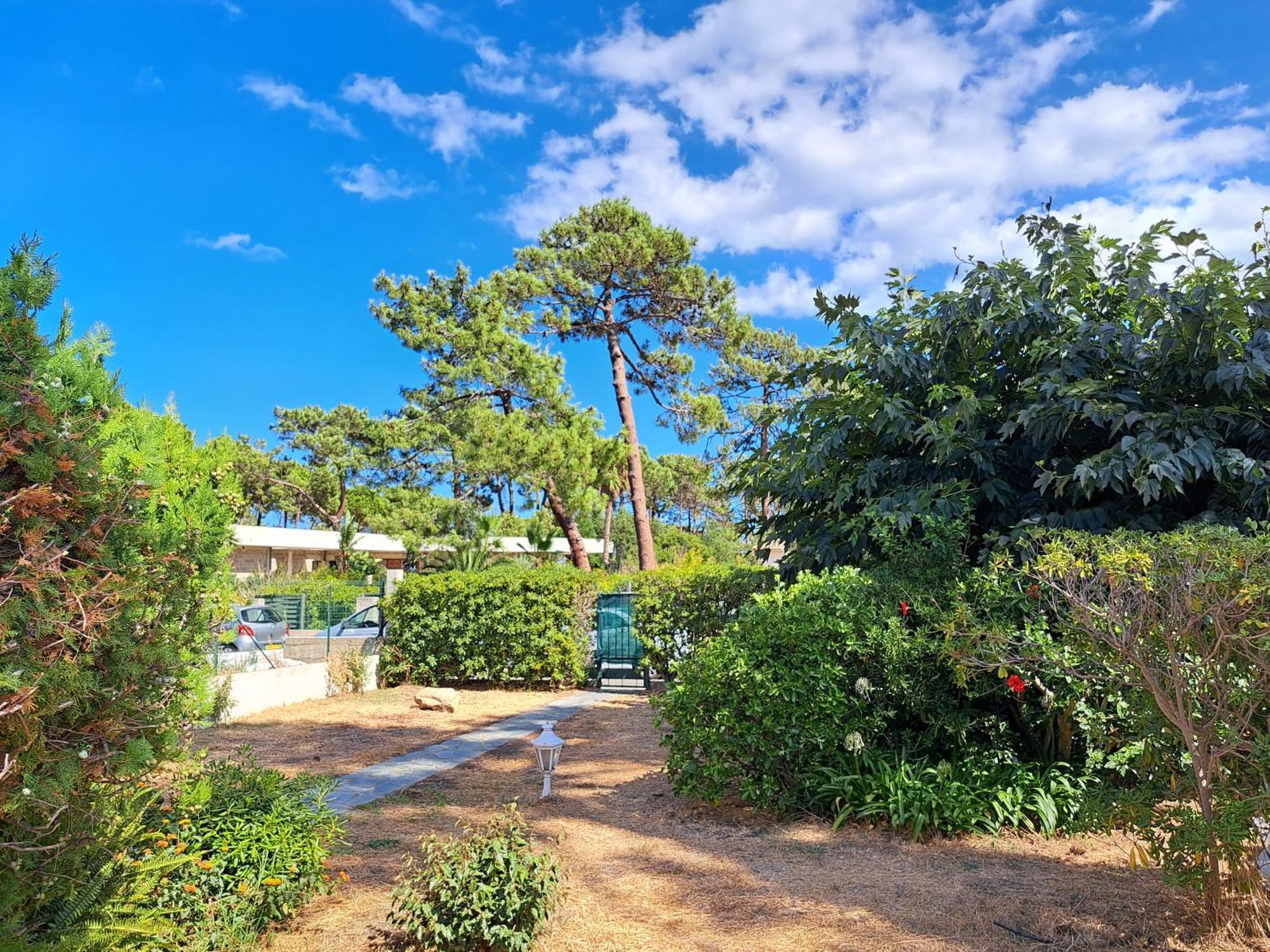 Mini Villa Jardin 50 M Plage Borgo  Eksteriør billede