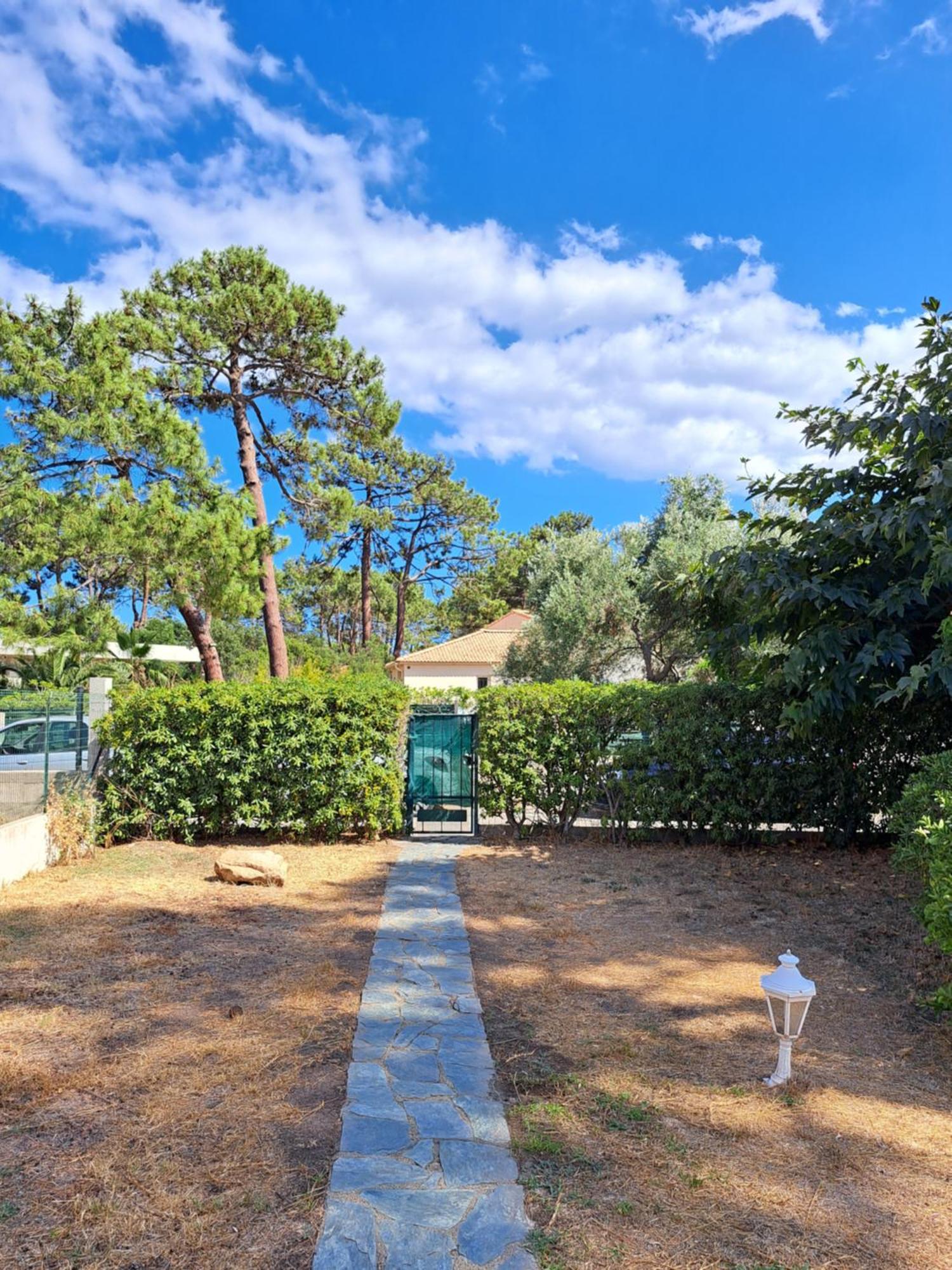 Mini Villa Jardin 50 M Plage Borgo  Eksteriør billede