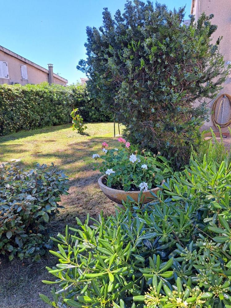 Mini Villa Jardin 50 M Plage Borgo  Eksteriør billede