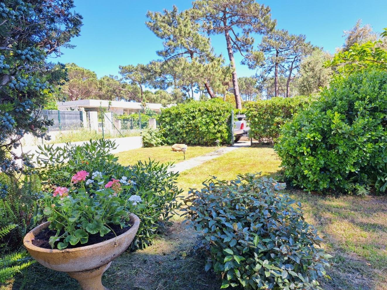 Mini Villa Jardin 50 M Plage Borgo  Eksteriør billede